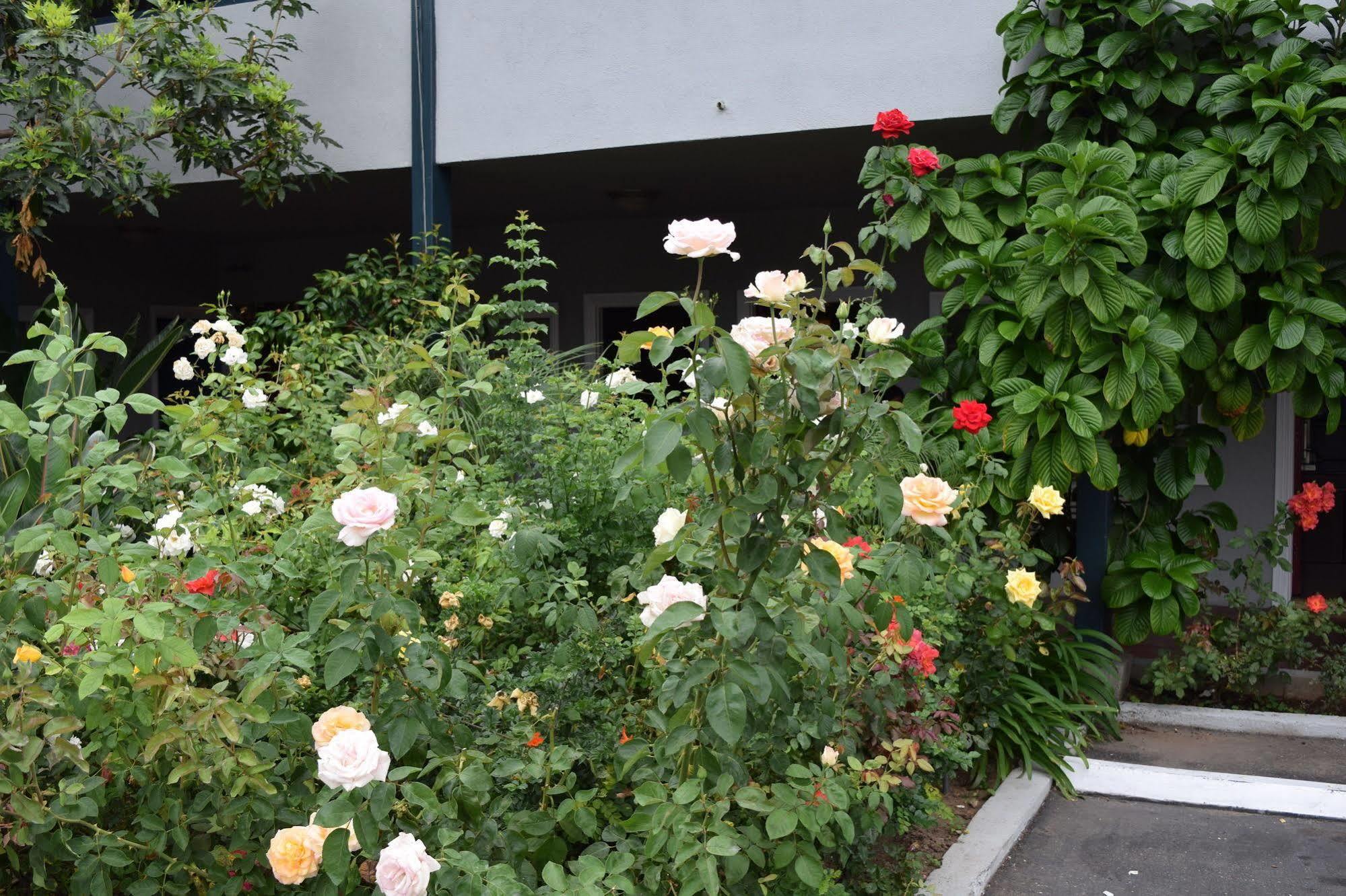 Rose Garden Inn Santa Barbara Extérieur photo